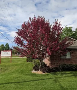 Traverse City Therapy office exterior