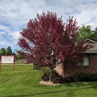 Traverse City Therapy office exterior